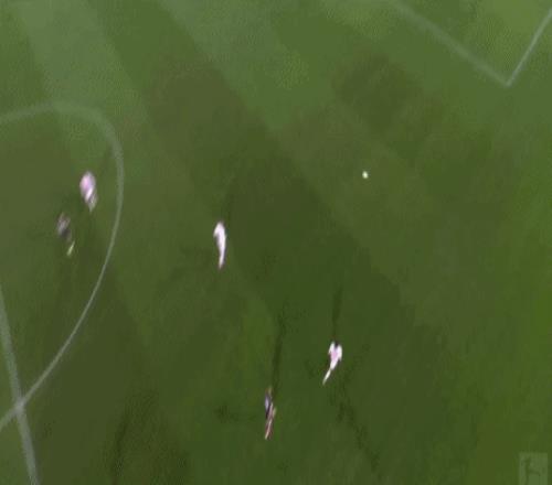 里贝里加盟,意甲新贵萨,勒尼塔纳队,MK体育,MK体育app,MK体育官网,MK体育下载,MK体育入口